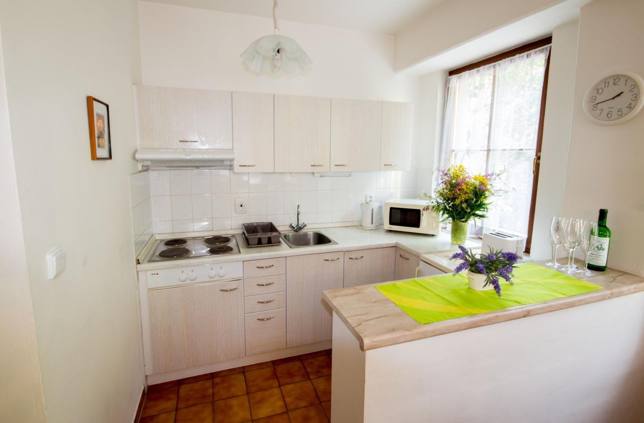 Appartement Apartman K Lanovce à Jáchymov Extérieur photo